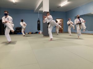 Senior Jin Sei Ryu students demonstrate a form